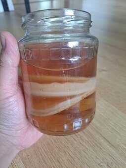 Kombucha s návodem na přípravu - 1