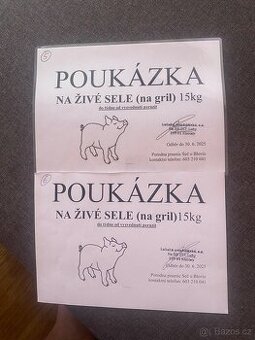 Prodám poukaz na 30ti kilové Sele na gril