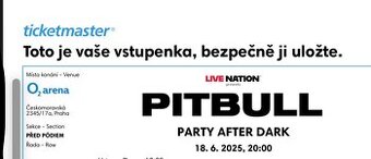 Pitbull - Party after dark