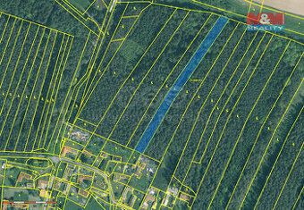 Prodej lesa, 5161 m², Dražíč - 1