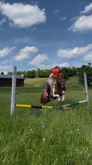 Pony hřebeček Fandík