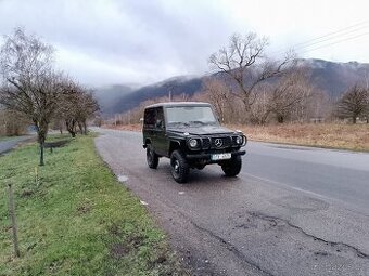 Mercedes G W 460