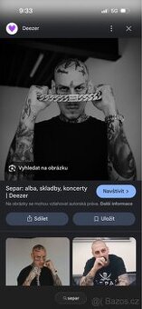 Lístky na koncert Separa
