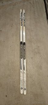 Běžky 180 cm se šupinou a hulky 140cm - 1