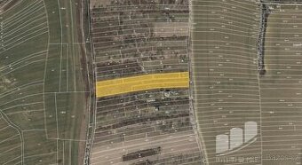 Prodej sadu / vinice 4 853 m², Kyjov - Boršov