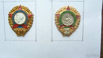 odznaky Vzorný voják