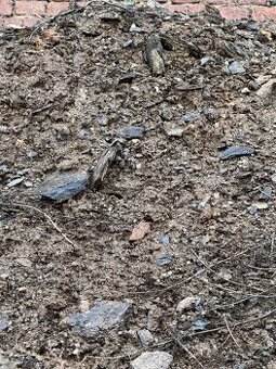 Zemina / hlína s kamením za odvoz – 20–40 m³