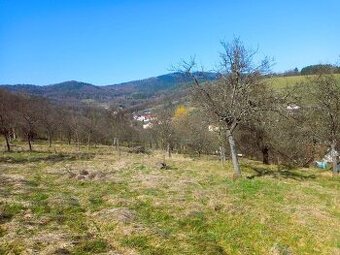 Stavební parcela vč. st. povolení, sad, louka 26 074 m2
