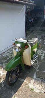 Tatran manet 125