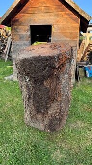 Kmen třešně - trešňové dřevo