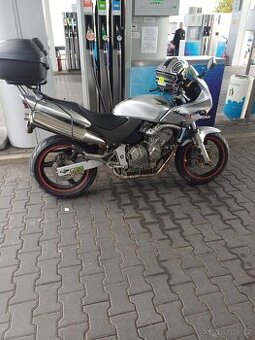 Honda Hornet