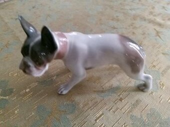 Porcelánová soška Buldočka " Rosenthal "