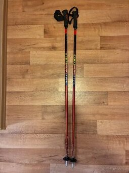 LYŽARSKÉ HŮLKY SALAMON