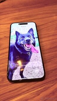 iPhone 15 Pro MAX 256 GB blue titan - jako nový