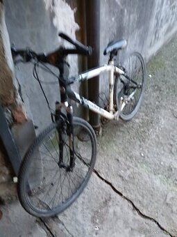 Prodám dámské kolo