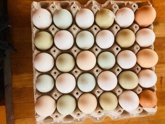 Prodám domácí vejce