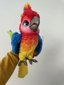 Mluvící papoušek