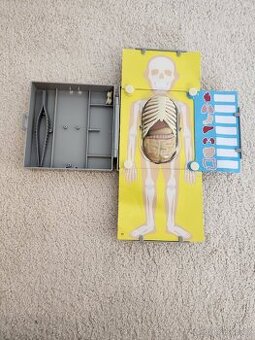 Anatomie lidského těla