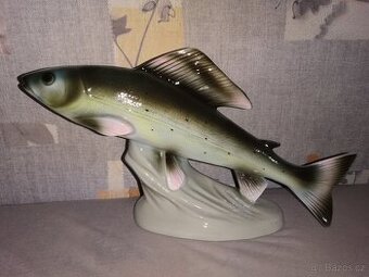 Royal dux ryba-lipan