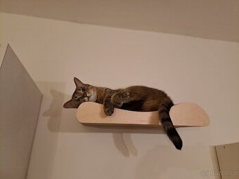 Škrabadlo pro kočku na stěnu