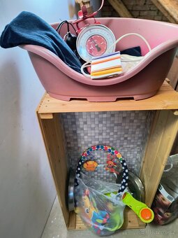 Potřeby pro začínající chovatele psů malého plemene