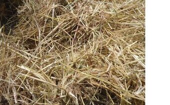 Sláma za odvoz.