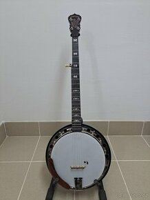 Deering Goodtime special banjo