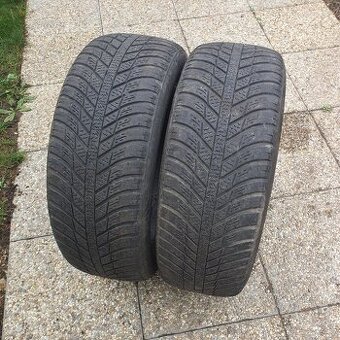 Nexen Blue 4season 205/55/16