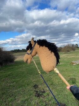 Hobby horse