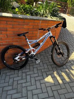 Specialized Status
