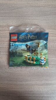 LEGO Harry Potter 30651 - Famfrpálový trénink