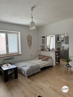 Pronájem bytové jednotky 1+1, ul. Bezručova, Frýdek-Místek