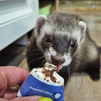 Fretka - nabídka krytí