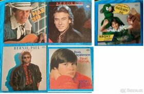 Vinylové LP desky