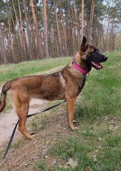 FREYA K ADOPCI - dokonalá parťačka - 1