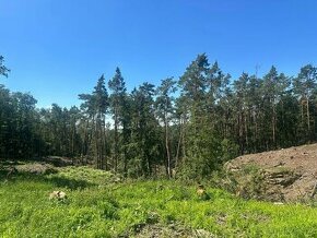 Prodej lesa 27 933 m², Nebužely okr. Mělník