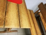 Palmové dřevo - 1