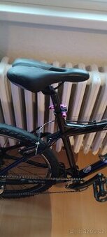 Horské kolo schwinn