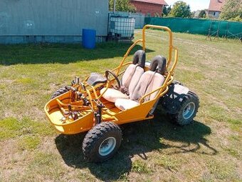Buggy Hammerhead