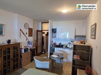 Prodej, byt 2+1, 30 m, , Česko