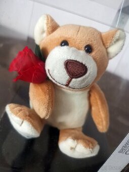 Květina medvěd s růží aranžmá růže