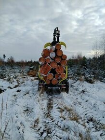 Těžba dřeva, prodej palivového dřeva