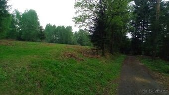 Nabídka prodeje louky/ pozemku v Milíkově – 3857 m²