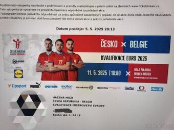 Házená - ČR vs Belgie