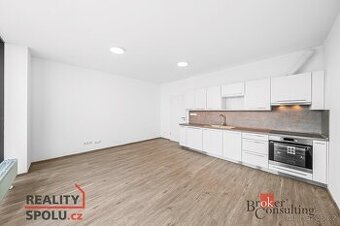 Pronájem, byty/1+kk, 42.35 m2, Železná 3061/10, Jižní Předmě