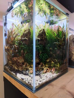 Prodám AquaEl Shrimp Smart DAY&NIGHT akvarijní set 30 l č
