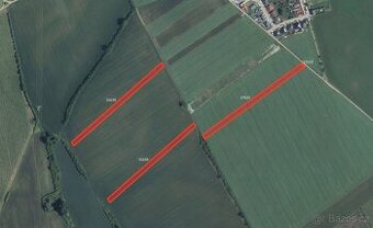 Zemědělská půda, prodej, Nový Poddvorov, Hodonín