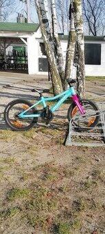 Dětské kolo Author Record