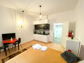 Pronájem bytu 1+kk, 26 m2 - Praha 2 - Nové Město