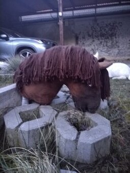 Hobby horse